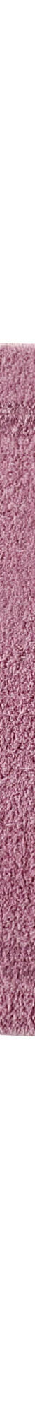 Tapis de bain qualité hôtelière 2100 g/m² (lilas) Tapis de bain qualité hôtelière 2100 g/m² (lilas)